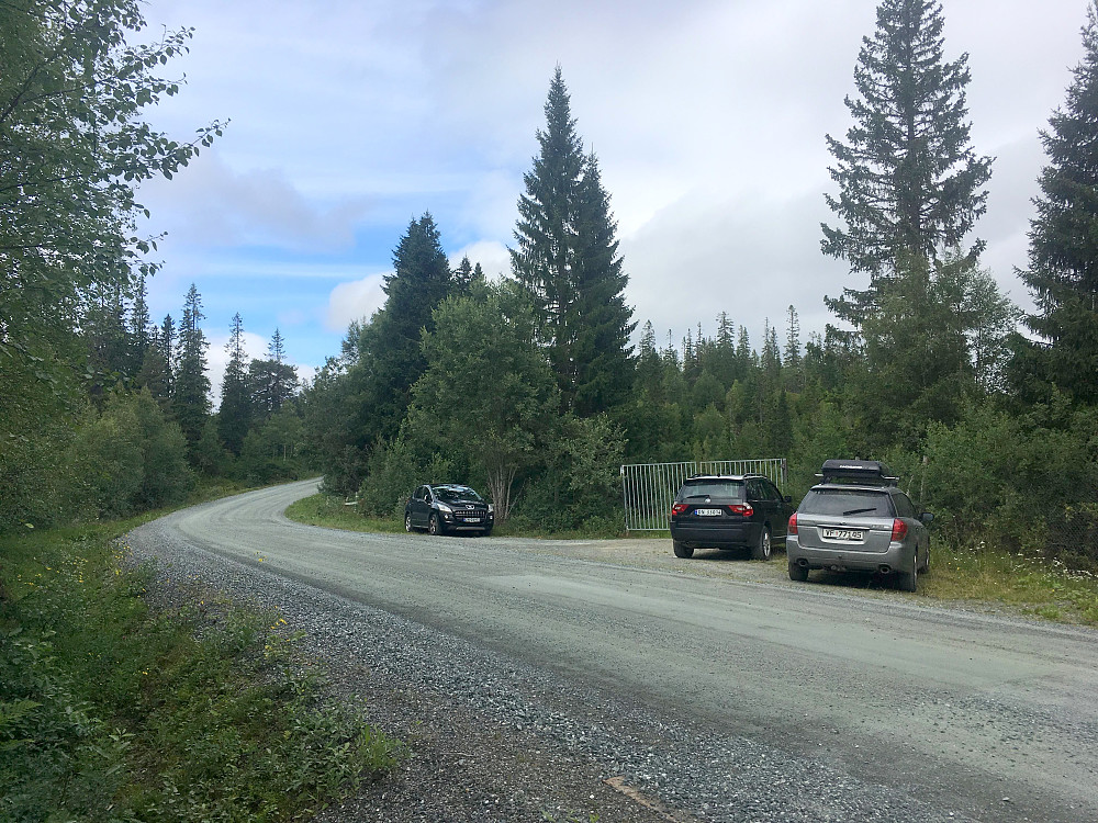 Almåsmyra p-lomme.Flere er på tur i dag.