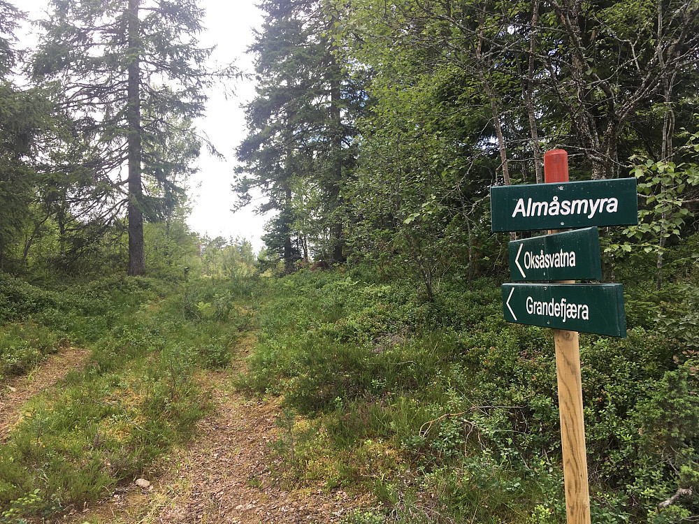 Merket løype.