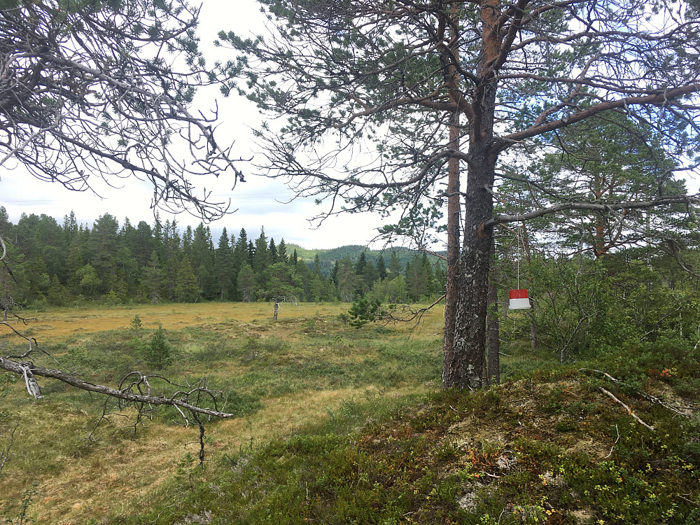Postene står tett i starten.