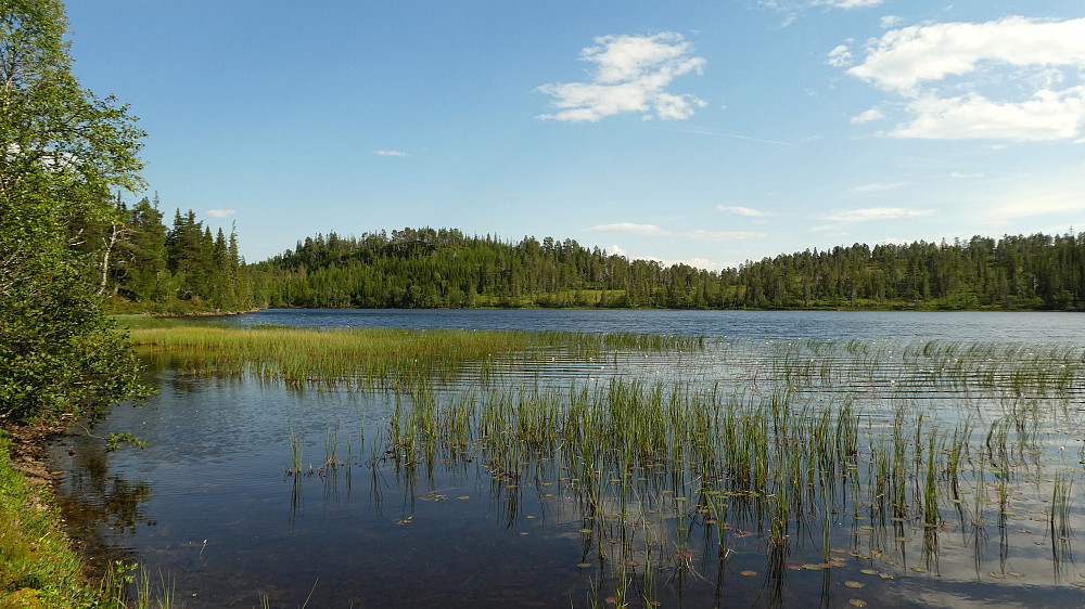 Fugllangen i flott vær.