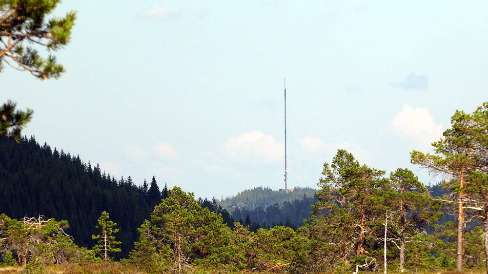 Skavlsåsen 401moh. ser man i det fjerne.TV mast i Mosvik.