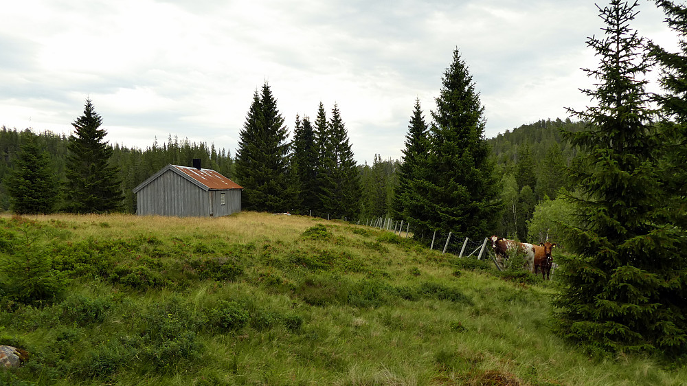 Vikasetran ble passert i starten.