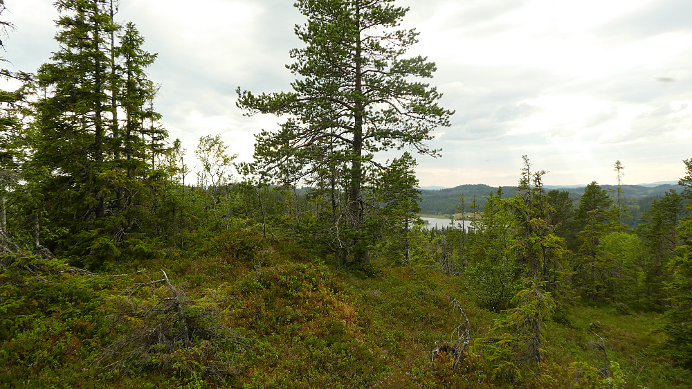 Kan skimte Ramdalsvatnet.