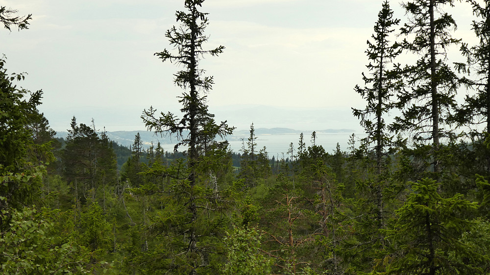 Trondheimsfjorden mot Frosta.