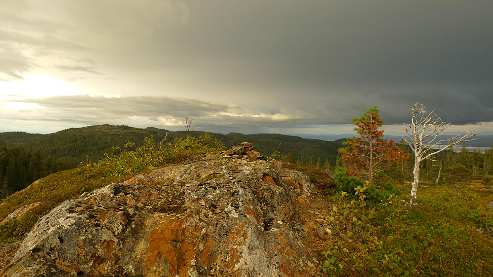 Toppen av Røyskattheia 452 moh.