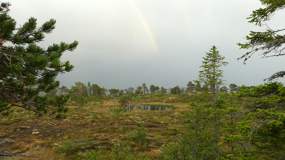 Myrtjønna ved Litlgavllangen.