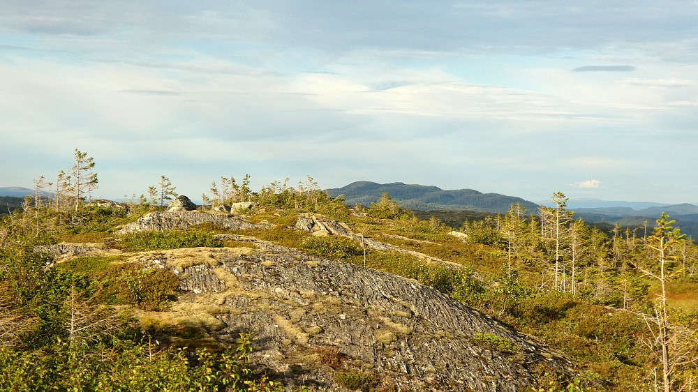 Østover langs Slettliheia.Hårfjellet i det fjerne.