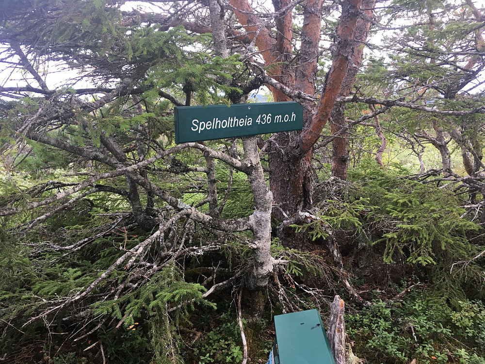 Trimpost med bok på toppen her.