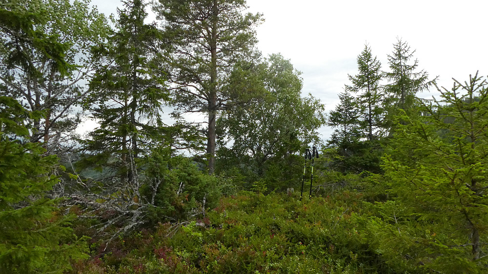Raukammen.
