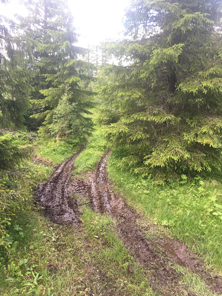 ATV ene lager stygge spor i naturen.