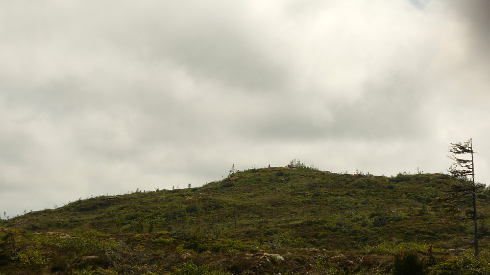 Ser opp mot varden på Storvalheia.