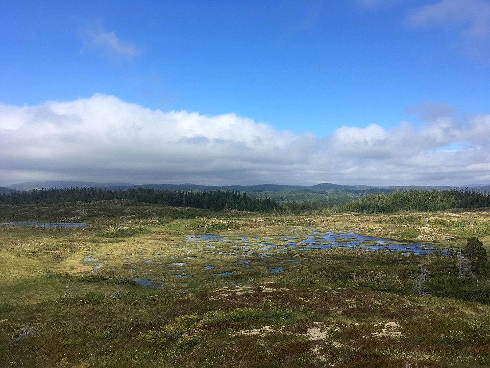 Ser ut som Mebutjønna holder på gro igjen.