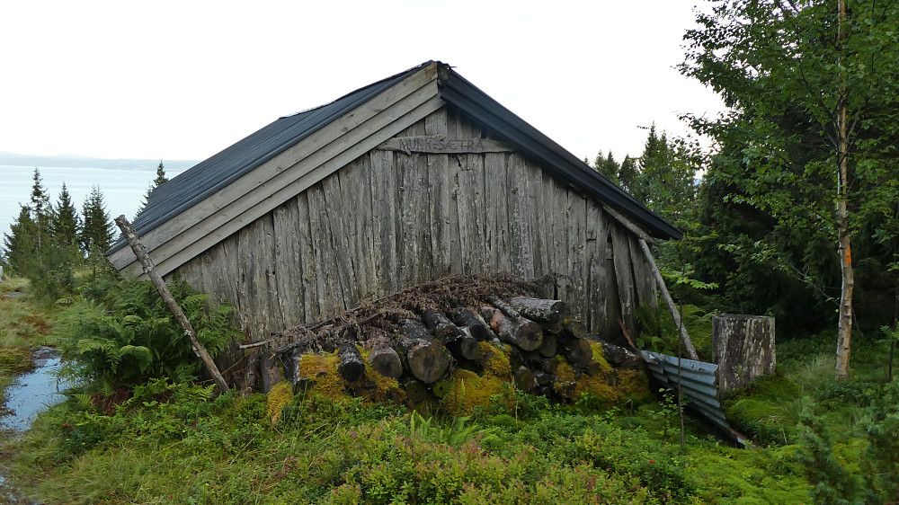 Gammel mosegrodd tømmer bak fjøset på Storviksetran.