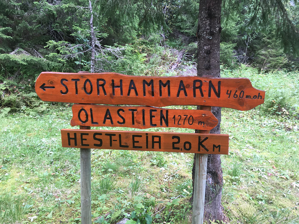 Fantastisk merking hele veien.