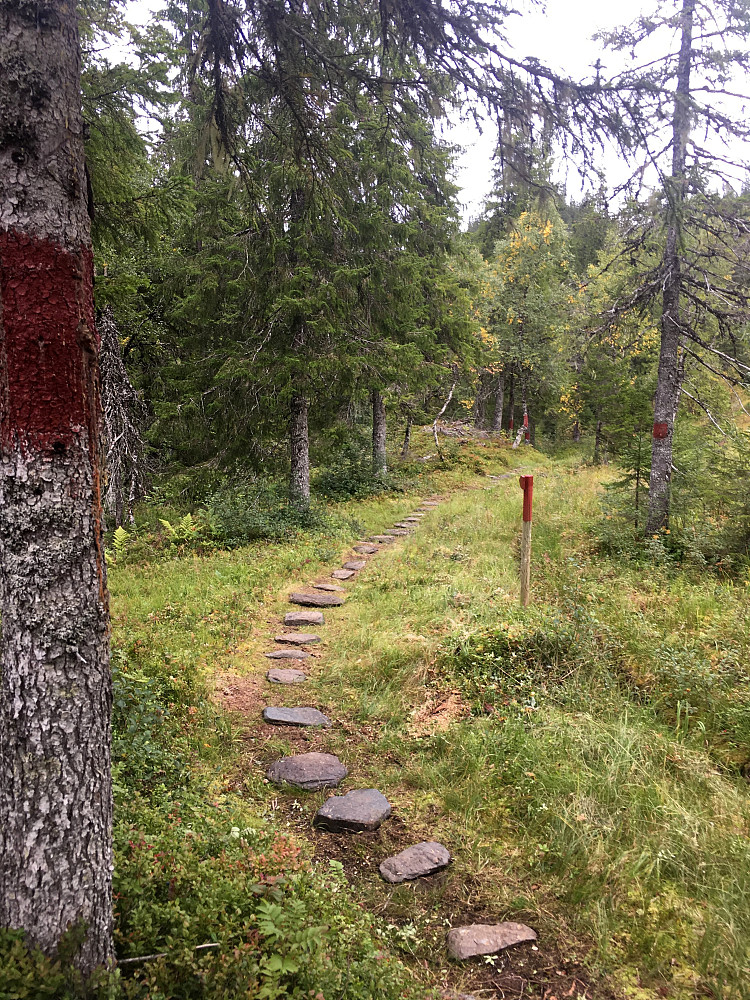 Steinheller er lagt over myrpartier.