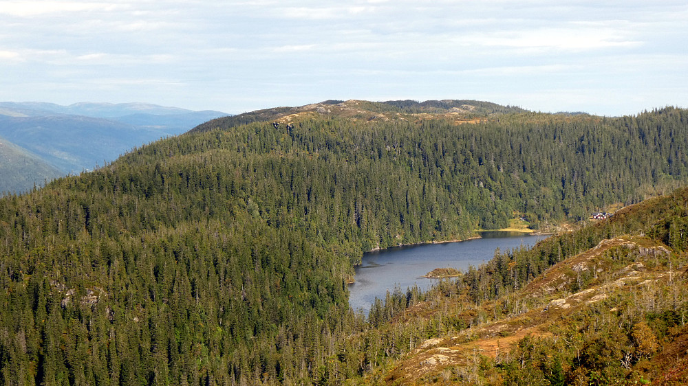 Osvatnet og Osvassheia 470 moh.
