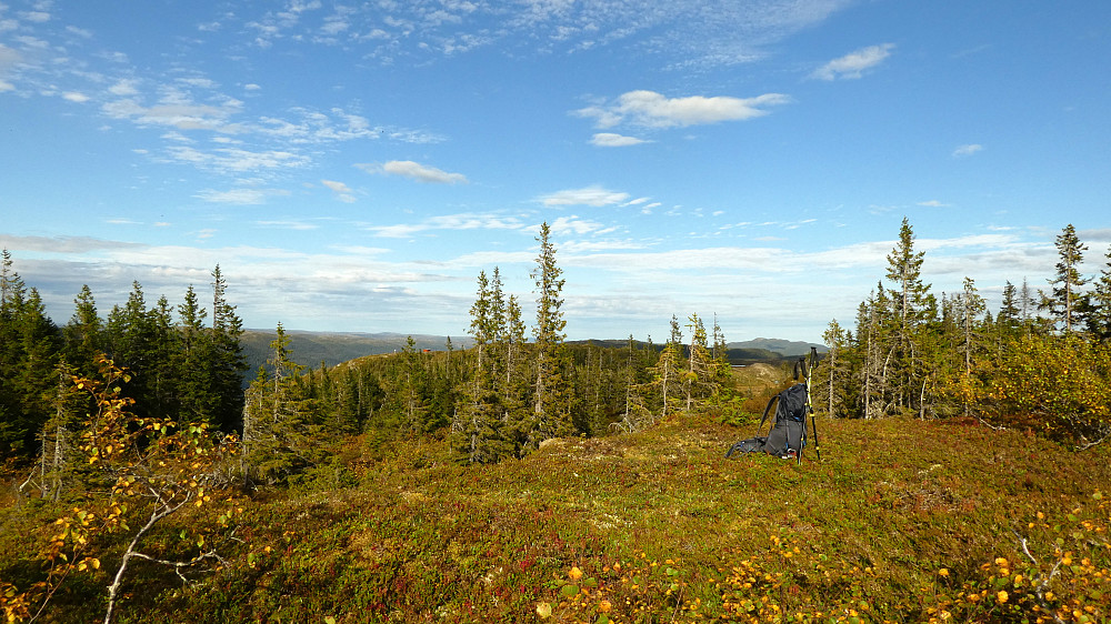 Toppunktet på Lakklia 472 moh.