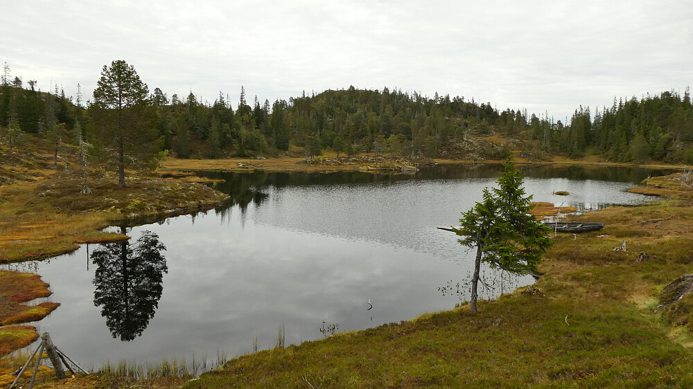Brennhevltjønna.