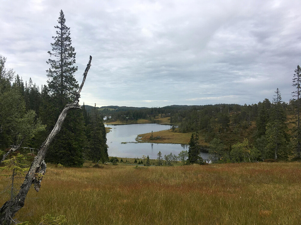 På tur ned fra heia.Ytre Skråsvatnet sees her.