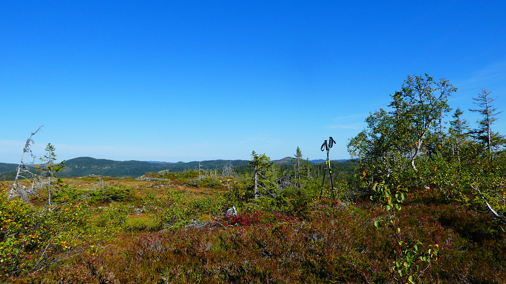 Toppen på Solliheia.