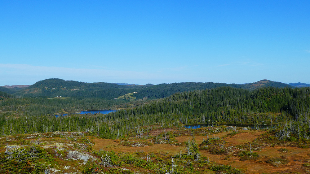 Båvasshaugen og Herbergstjønna til venstre.