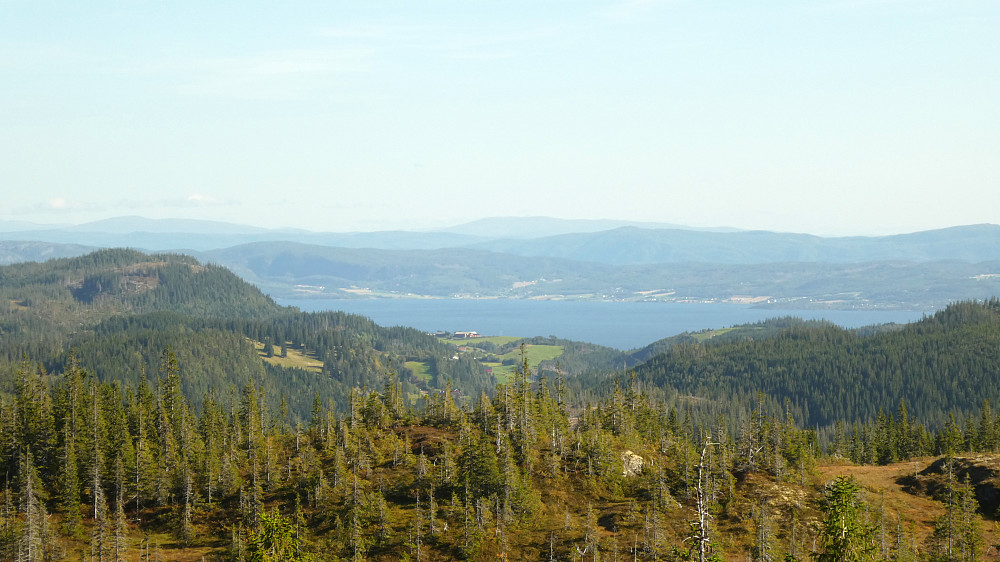 Mot Leksvik og Trondheimsfjorden.