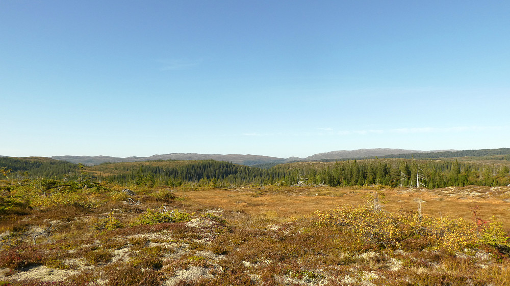 Mot Vollaskurven og Skorven.