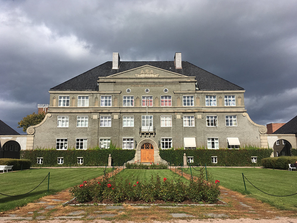 Norges Veterinærhøgskole er et praktbygg.