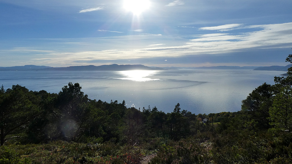 Trondheimsfjorden mot Byneset.
