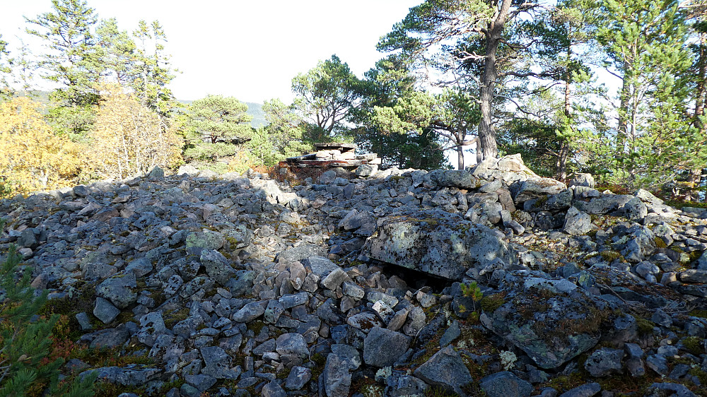 Gammel bygdeborg.