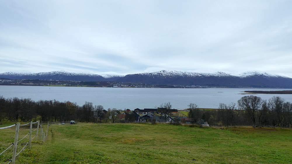 Til vanlig går det vel en del hester her men nå er vel sesongen over.