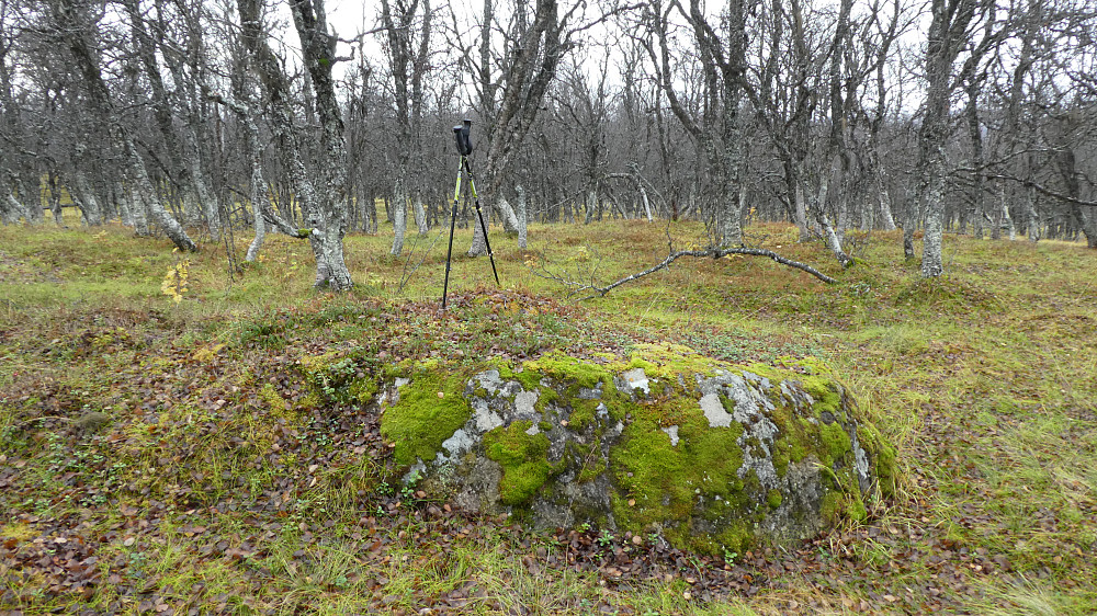 Toppen på Skjellstanghaugen.
