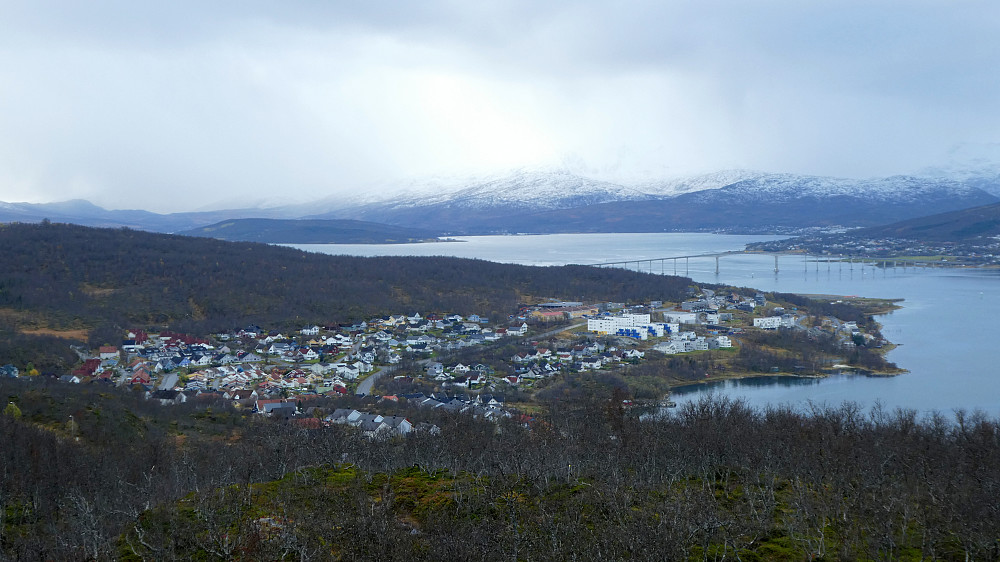 Hamna boligområdet på Tromsøya.