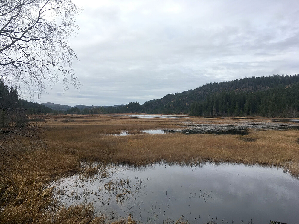Mye mindre vann i Elvtjønna no.