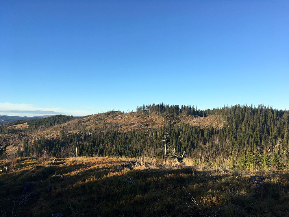 Neveråsen på andre sida av dalen.