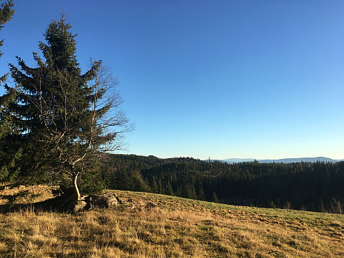 Gullbakken-Mot øst.