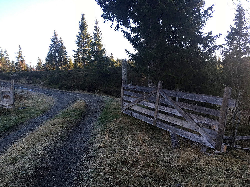 Alle dyra er i hus så grinda kan stå åpen til neste sesong.