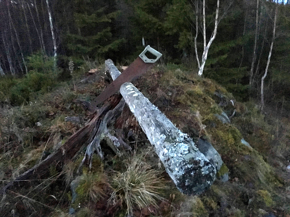 Beitkammen.Her har noen brukt saga.
