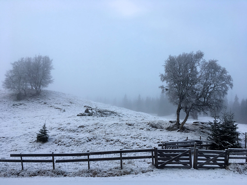 Korsåsen i vinterdrakt.