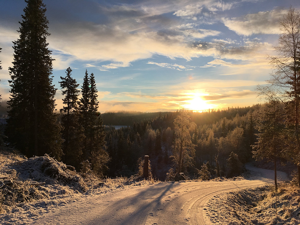 Sola skinner i Elvassbakkan i dag men så kom......
