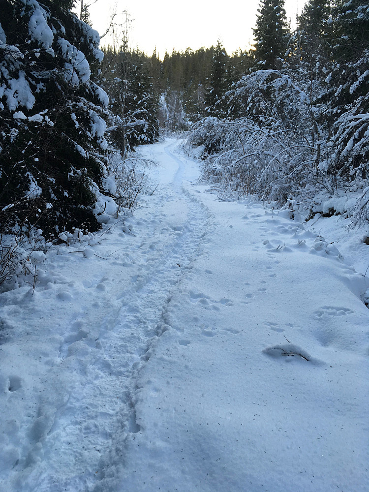 Et stykke er det tråkket sti i snøen.Tydelig at det er mange som bruker området her.