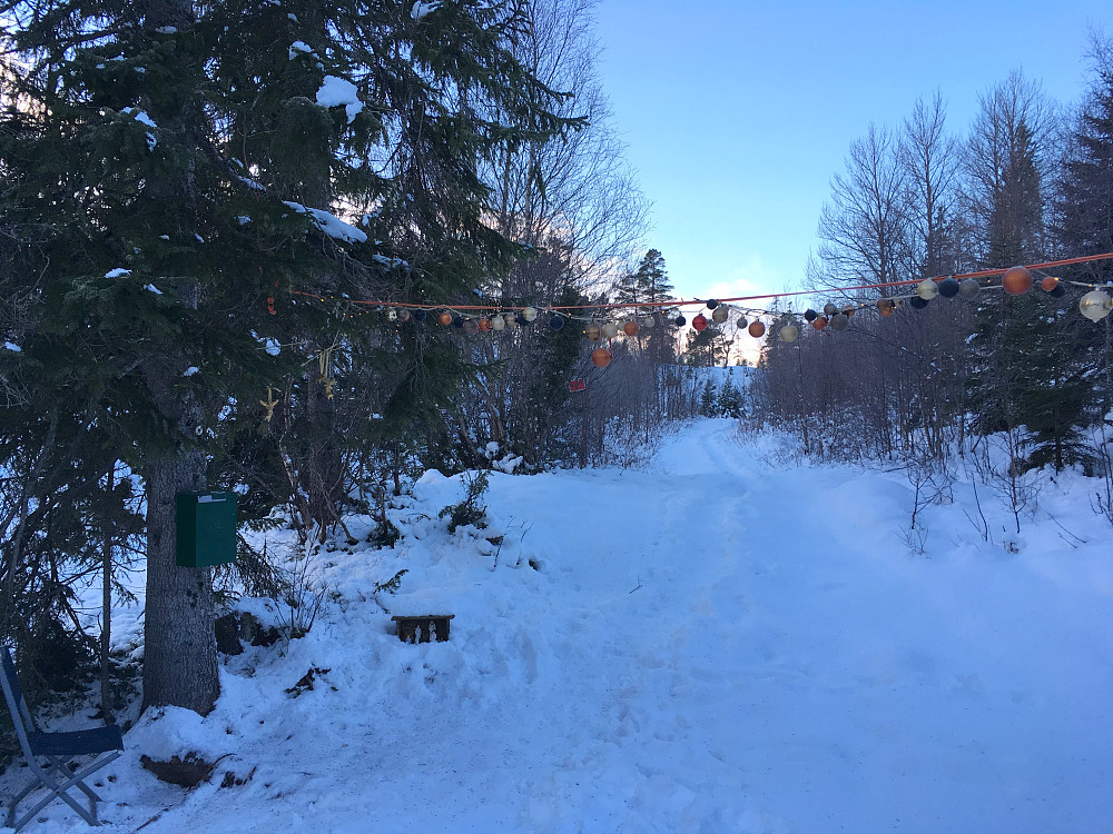 Framme ved Birgerrunden trimpost.Her er......