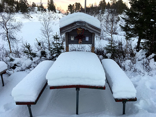 Like ved støtta til Anders Solli.
