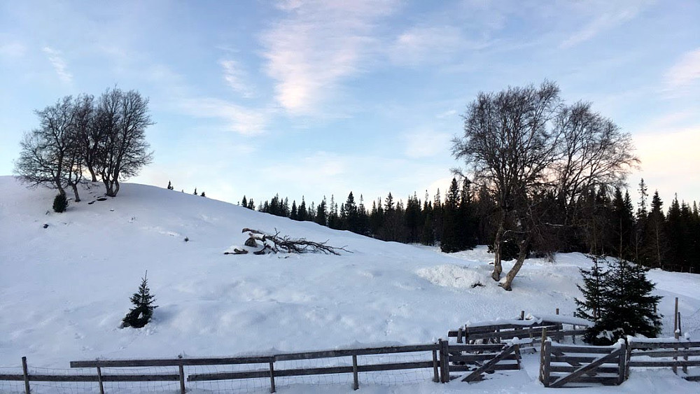 Korsåsen i vinterdrakt.