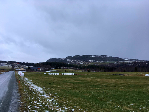 Mot.Langåskammen