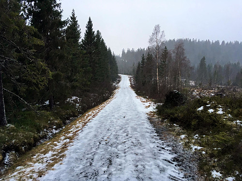 Ikke det beste skiføret her.