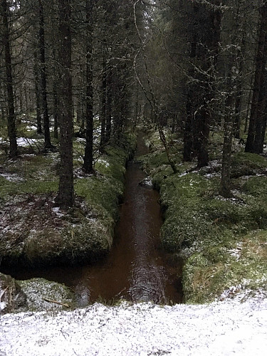 Grønn vinter.