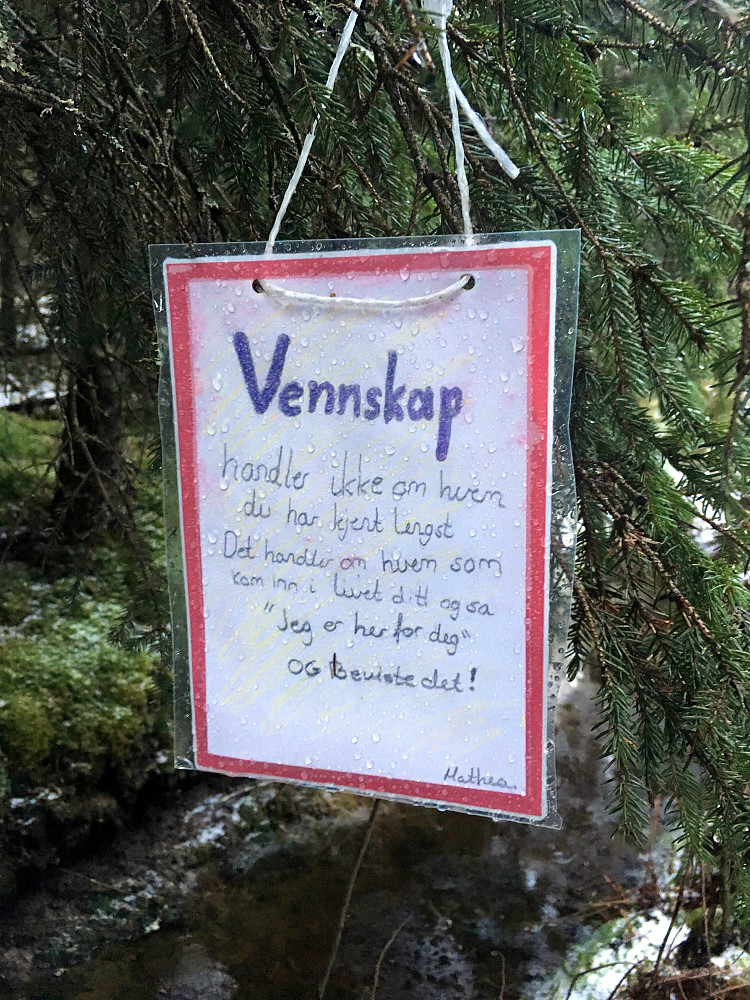 Fine ord!