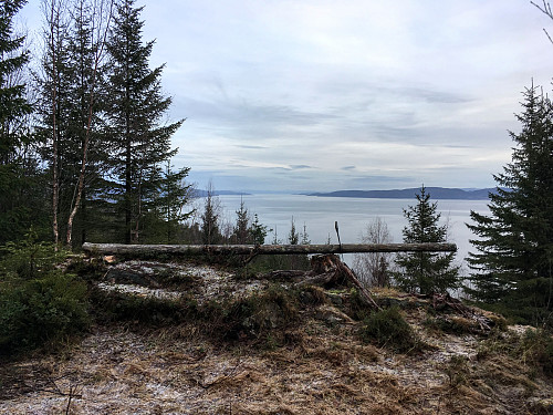 Utsikten fra Beitkammen innover Trondheimsfjorden mot Verdal.