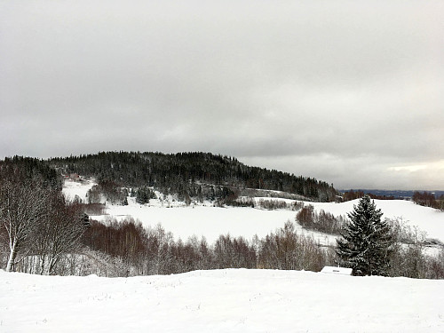 Rolivatnet er dekt med is og snø.Dette var Villy Haugen sin treningsbane på skøyter (Han tok bronse i OL Innsbruck -64) Våttahaugen ligger bak.
